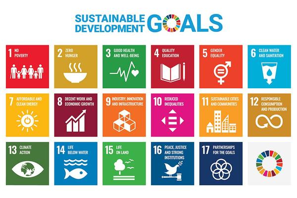 Sustainable development goals