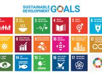 A European Semester for the Sustainable Development Goals?