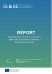 No Leverage Without Authority? Comparing the Effectiveness of International Organizations  Across GLOBE Issue Areas