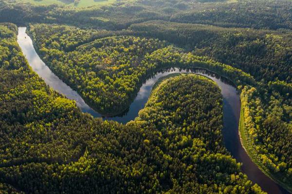 brazil-environment